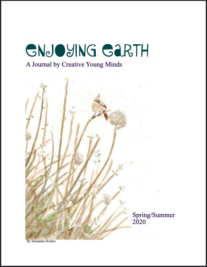 Issue One: Enjoying Earth